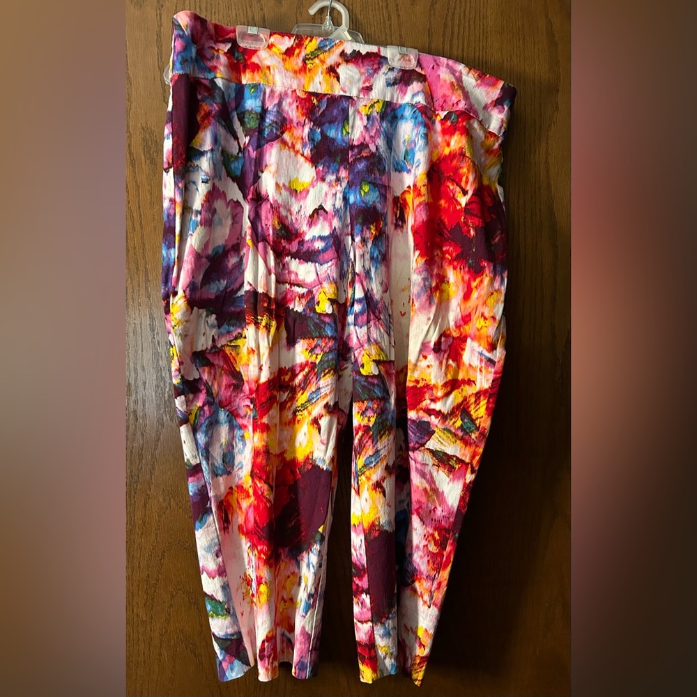 Attyre Multi-colored Capri Pants 20W